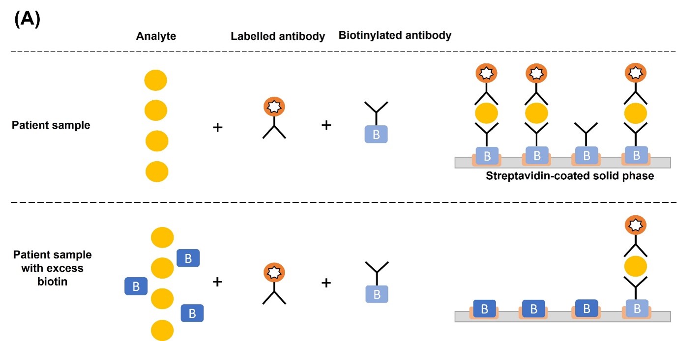 Biotin interference with thyroid function tests_1