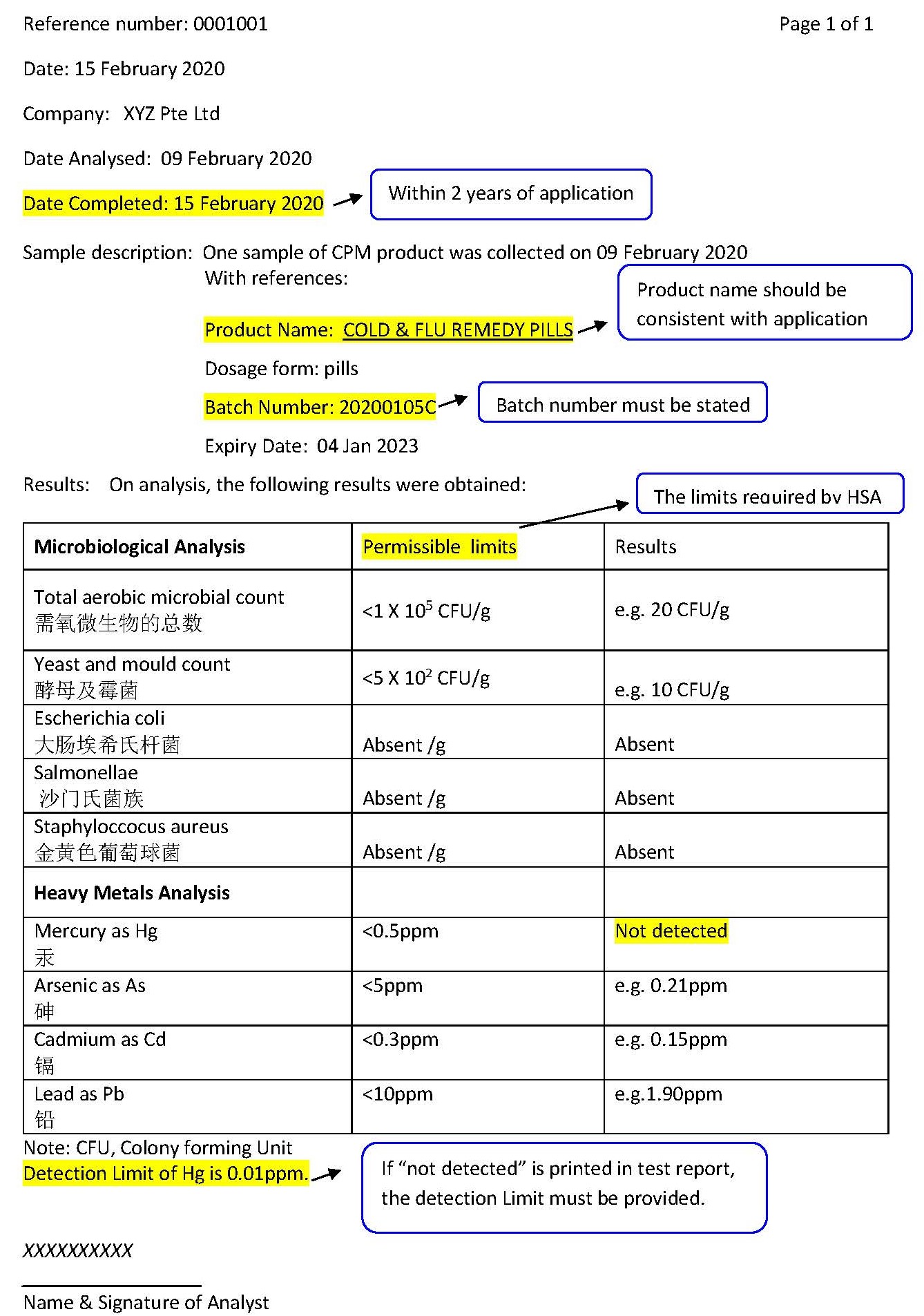 Testing Report Template